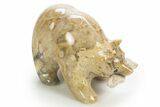 Realistic, Polished Fossil Coral Bear with Fish - Philippines #308436-1